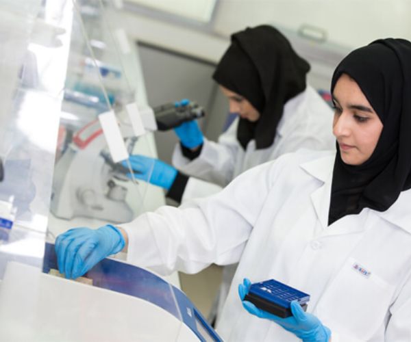 كتابة بحوث جامعية في أبوظبي