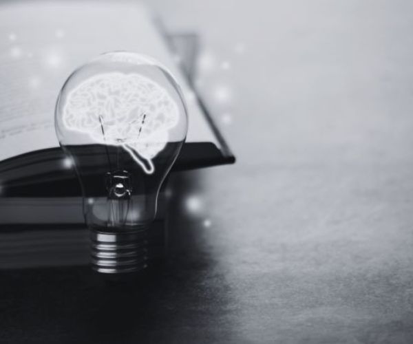 ما هي التوصيات في البحث