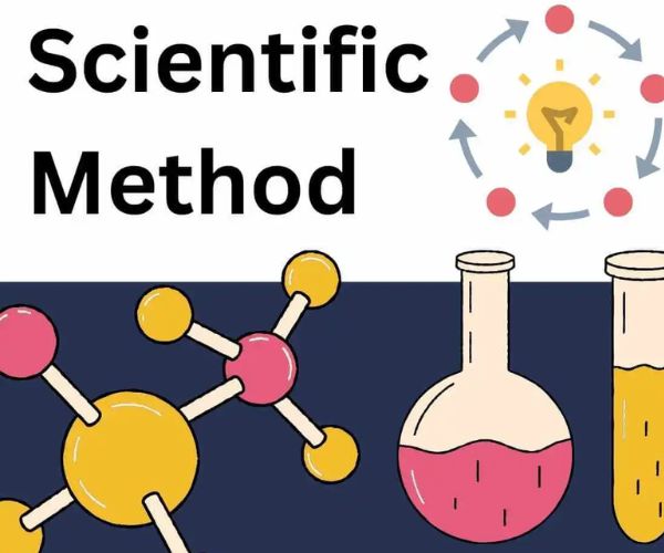 خطوات المنهج العلمي