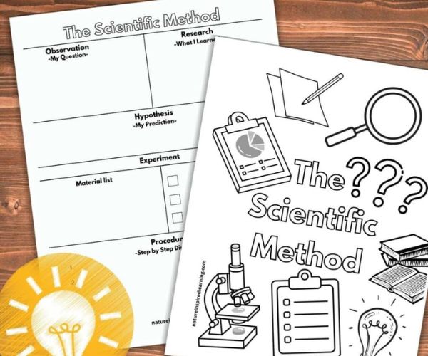 خطوات المنهج العلمي